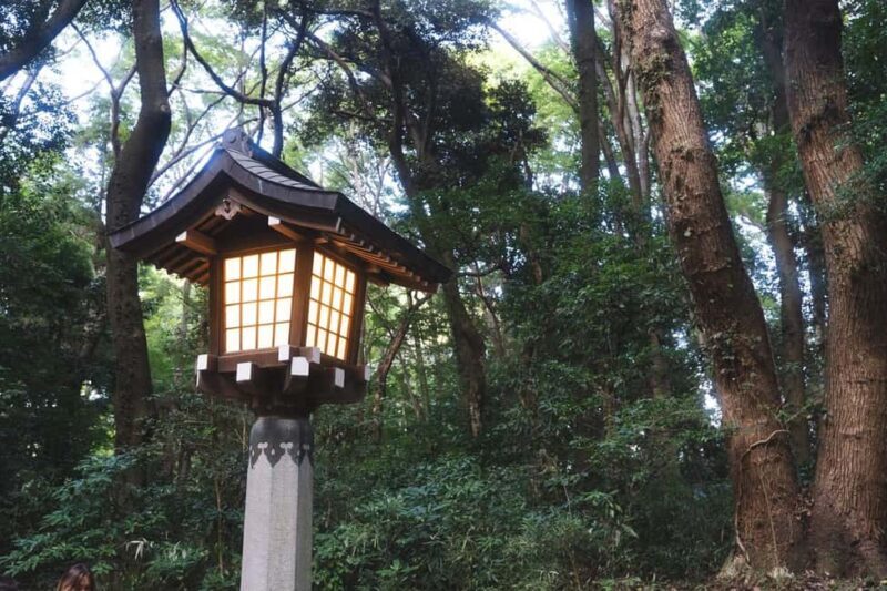 Tokyo: Private Meiji Shrine & Harajuku Highlights Tour - Authentic Experiences and Real Feedback
