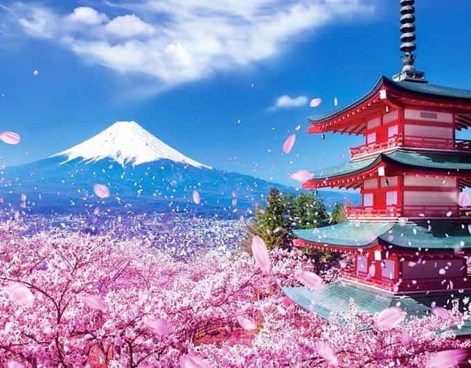 Tokyo: Private Mount Fuji and Hakone Day Trip with Guide - Transport and Flexibility