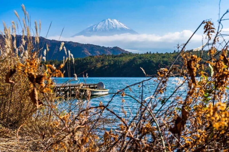 Tokyo: Private Mount Fuji Day Trip with Private Guide - Key Points