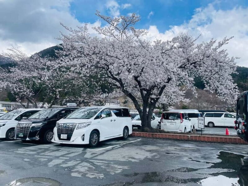 Tokyo: Private Mount Fuji Day Trip with Private Guide - Who Should Book This Tour?
