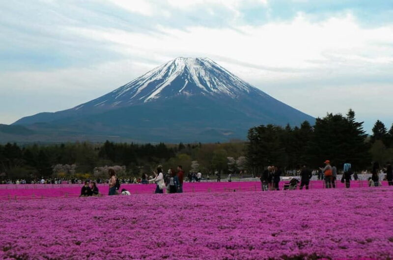 Tokyo: Private Mount Fuji Tour with Pickup and Drop-Off - Why Choose This Tour?