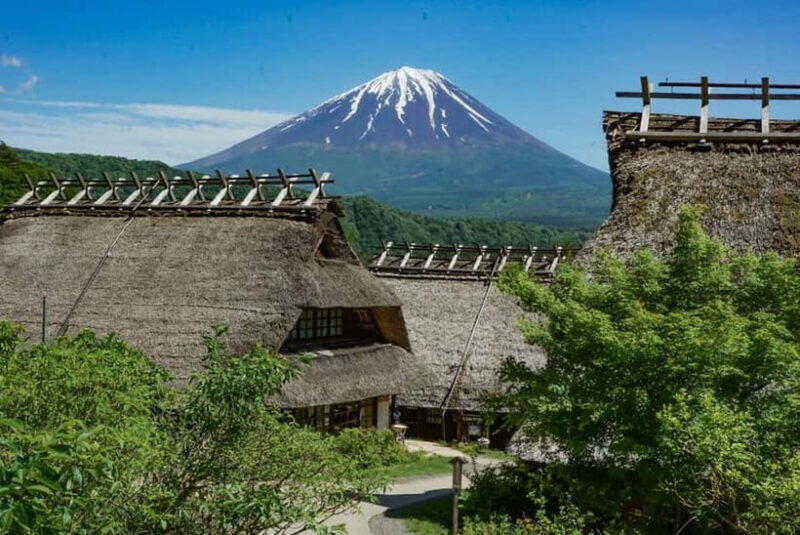 Tokyo: Private Mount Fuji Tour with Pickup and Drop-Off - Considerations for Travelers