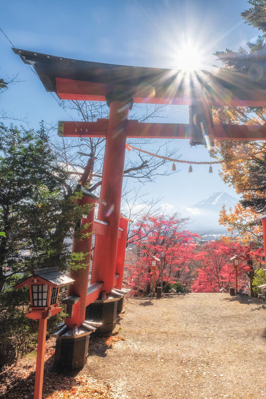 Tokyo: Private Mt.Fuji Day Trip with English-Speaking Driver - FAQ