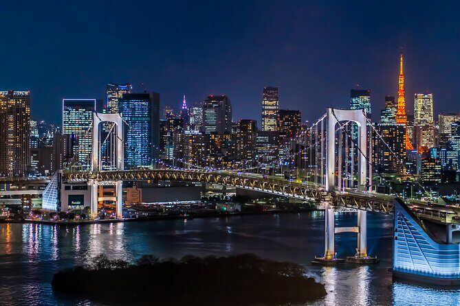 Tokyo Private Night Tour by Car/Van - English speaking chauffeur - An Overview of the Experience