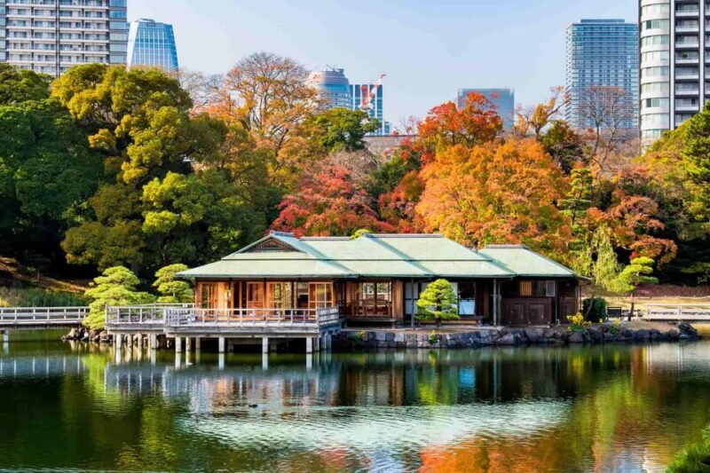 Tokyo: Private Night Tour with English-Speaking Driver - The Sum Up