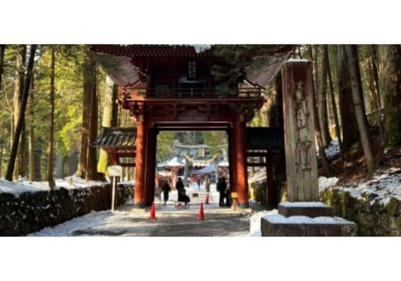 Tokyo: Private Nikko Sightseeing Tour In Luxury Land Cruiser - The Experience: What to Expect on Your Private Nikko Tour