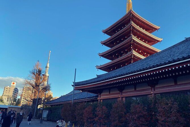 Tokyo Private One-Day Tour Local Driver - Key Points
