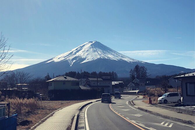 Tokyo Private One-Day Tour Local Driver - Who Will Love This Tour?