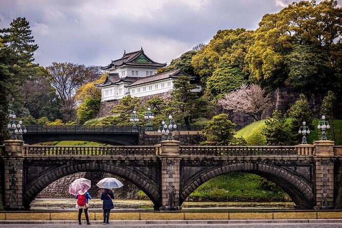 Tokyo Private SightSeeing Day Tour - The Sum Up