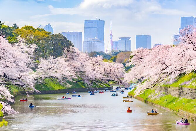 Tokyo Private Sightseeing Tour by Car and English Speaking Driver - Tokyo Tower: An Iconic Landmark