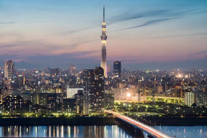 Tokyo Private Sightseeing Tour by Car and English Speaking Driver - Meiji Jingu Shrine and Harajuku: Tradition Meets Trend