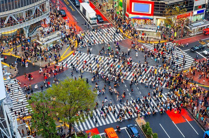 Tokyo Private Sightseeing Tour by Car - English speaking driver - The Sum Up