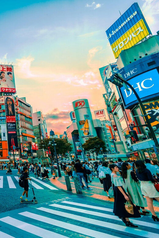 Tokyo: Private Tailored Tour with a Local Guide - A Deep Dive into the Experience