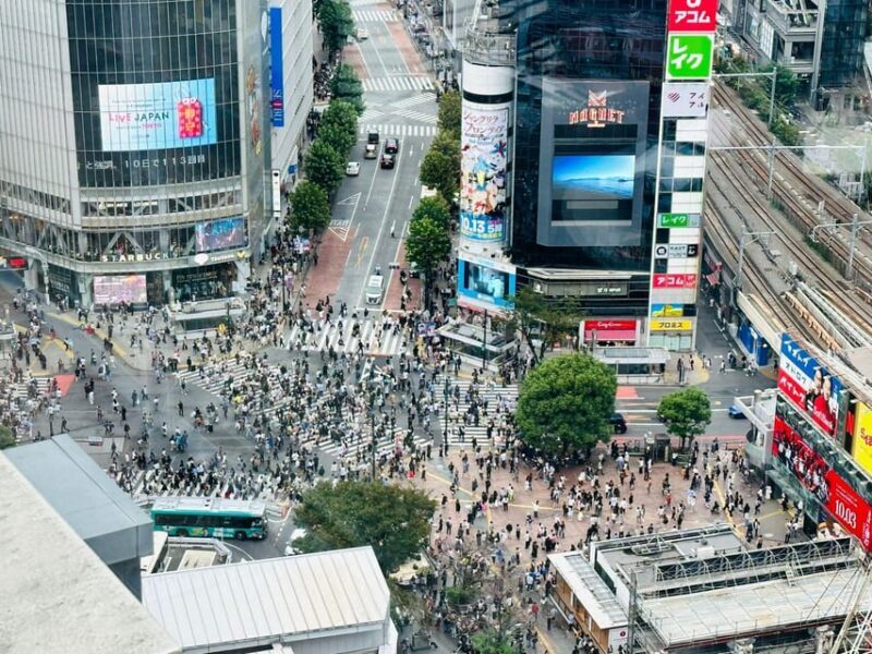 Tokyo: Private Tailored Tour with a Local Guide - Final Thoughts
