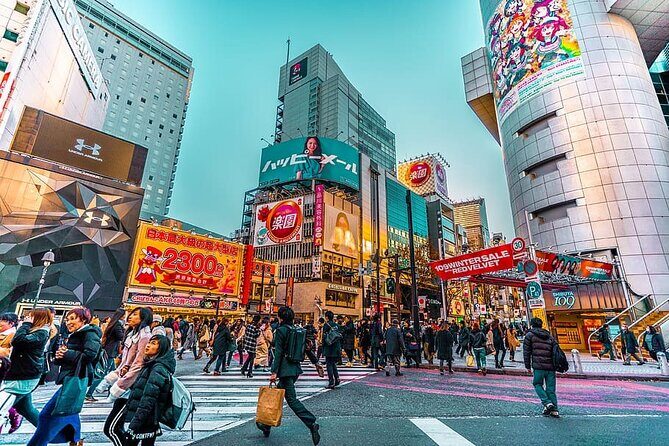 Tokyo Private Tour by Car/Van with English Speaking Driver - What’s Included and What’s Not?