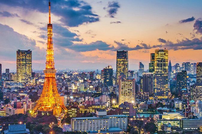 Tokyo Private Tour by Car/Van with English Speaking Driver - Authentic Insights from Past Travelers