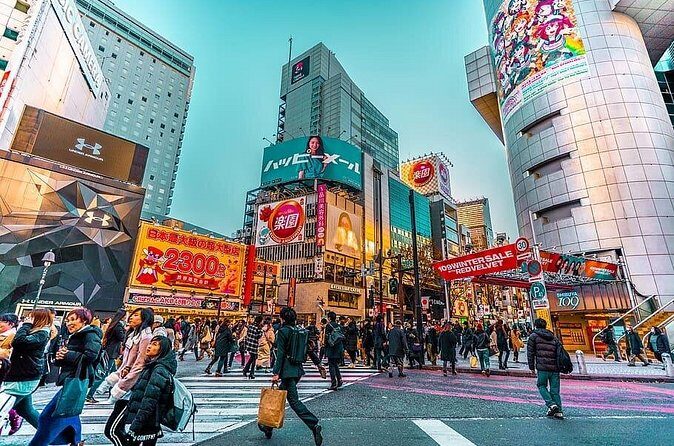 Tokyo Private Tour by Car/Van with English Speaking Driver - The Sum Up