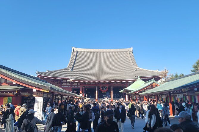 Tokyo Private Tour by Car with English speaking driver - Embracing Tokyo’s Youth and Energy