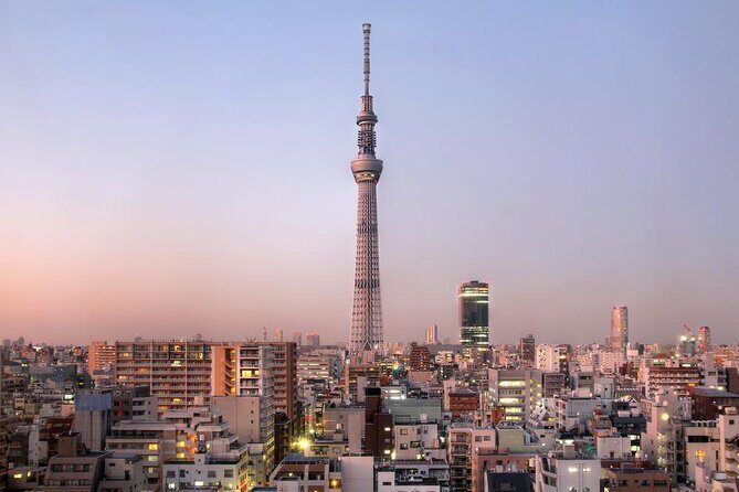 Tokyo Private Tour by Vehicle with English-Speaking Chauffeur - Key Points