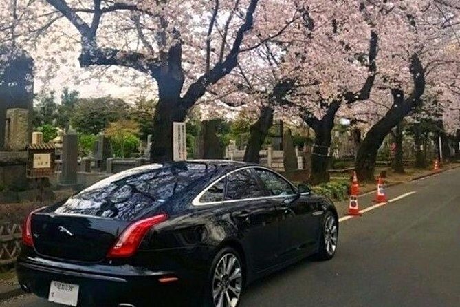 Tokyo Private Tour by Vehicle with English-Speaking Chauffeur - The Experience in Detail