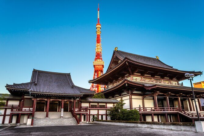 Tokyo Private Tour - The Sum Up