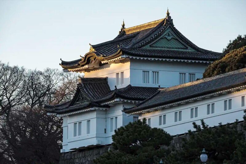 Tokyo Private Tour English Pro Guide By Luxury Vehicle - Final Thoughts