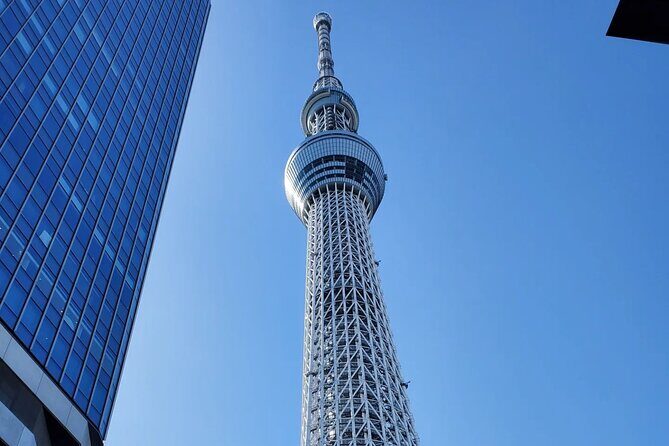 Tokyo Private Tour GREEN NUMBER PLATES - What Travelers Say