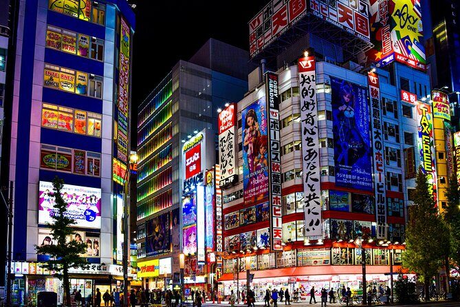 Tokyo Private Tour GREEN NUMBER PLATES - Frequently Asked Questions