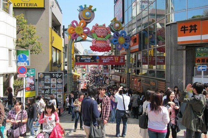 Tokyo Private tour in Luxury Vehicle with English Speaking Guide - Who Will Love This Tour?