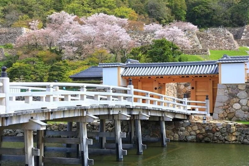 Tokyo: Private Tour of the Imperial Palace East Gardens - Authentic Experiences and Hidden Gems