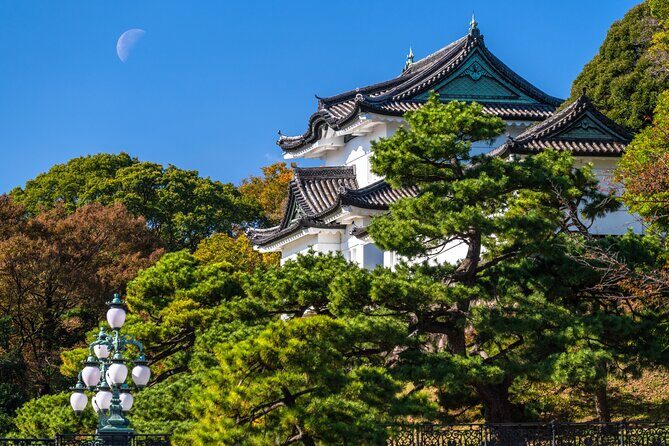 Tokyo Private Tour of the Imperial Palace East Gardens - Key Points