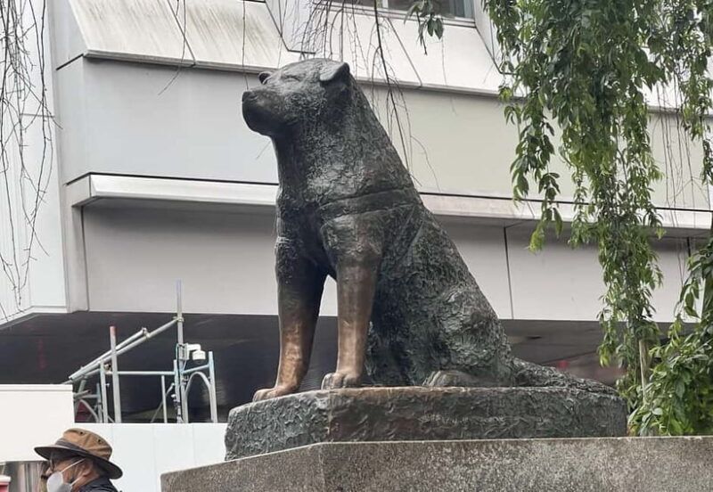 Tokyo: Private Tour of Tokyo - The Value in Context