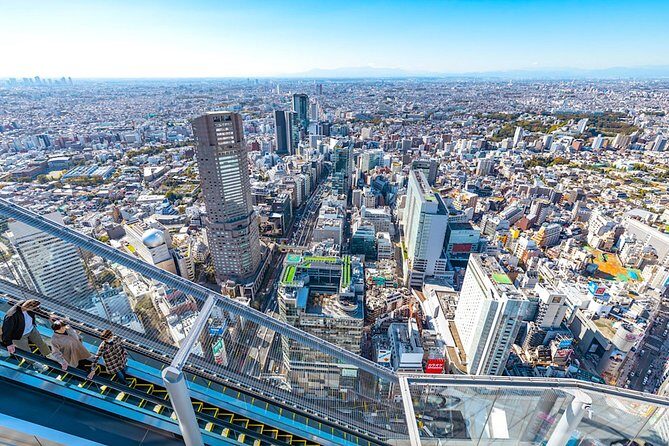Tokyo Private Tour: One Day Highlights and Optional Shibuya Sky - Tokyo Private Tour: One Day Highlights and Optional Shibuya Sky