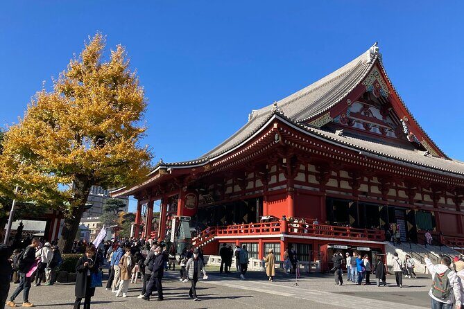 Tokyo Private Tour: One Day Highlights and Optional Shibuya Sky - Who Will Love This Tour?