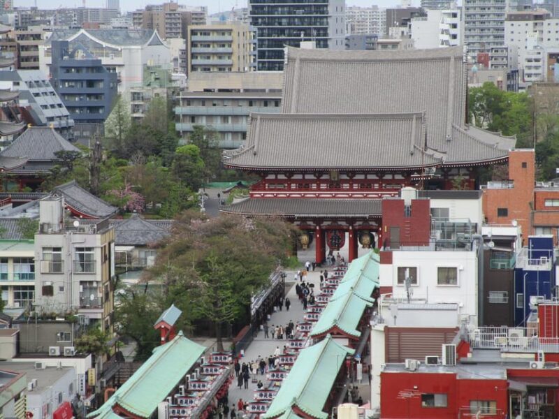 Tokyo Private Tour To-and-From Tokyo, Yokohama up to 12 - Final Thoughts