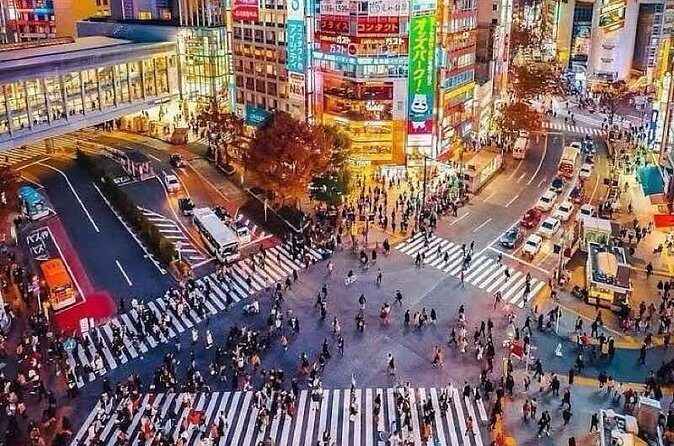 Tokyo Private Tour with an English speaking driver - Who Will Benefit Most?