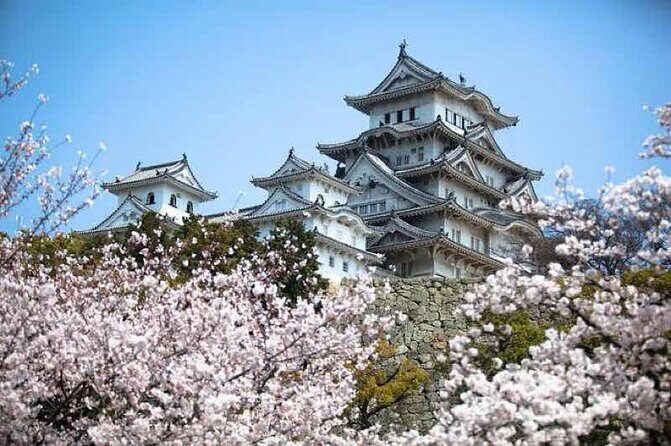 Tokyo Private Tour with an English speaking driver - The Sum Up