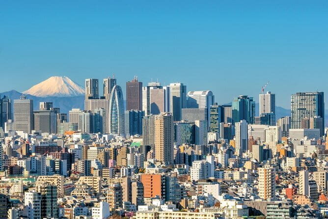 Tokyo private tour with English speaking driver - Wrapping Up: Who Will Love This Tour?