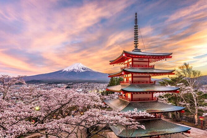 Tokyo private tour with English speaking driver - Final Thoughts