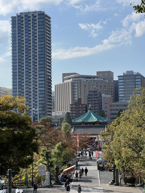 TOKYO Private visit guide Speaking French - Key Points