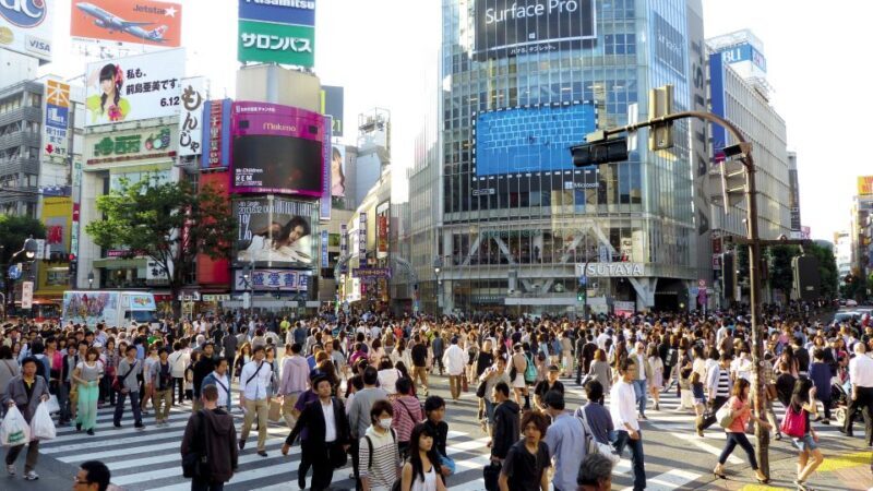 Tokyo: Private Walking Tour with a Local - Key Points