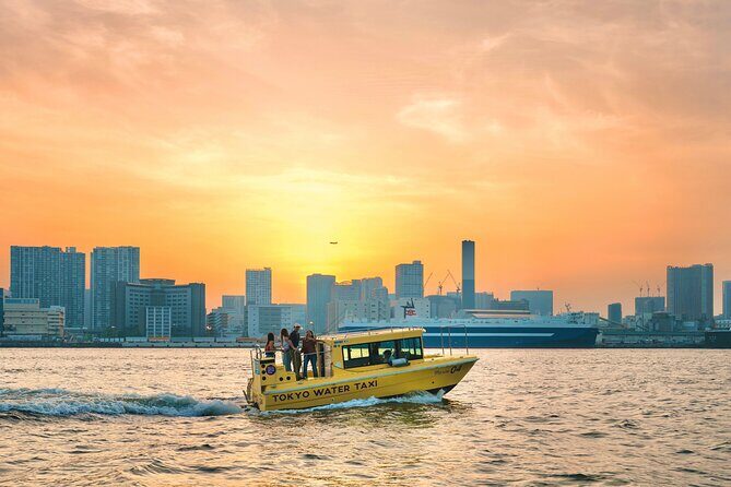Tokyo: Seagull Feeding or Sunset Bay Cruise with Local Guide - The Itinerary: What Youll See and Experience