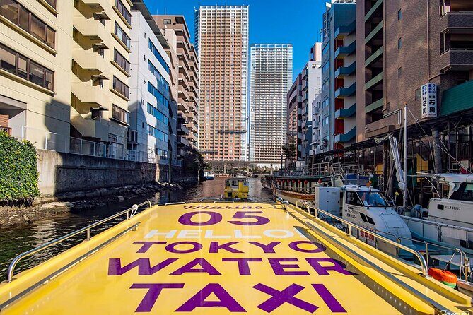 Tokyo: Seagull Feeding or Sunset Bay Cruise with Local Guide - Authentic Insights from Past Travelers