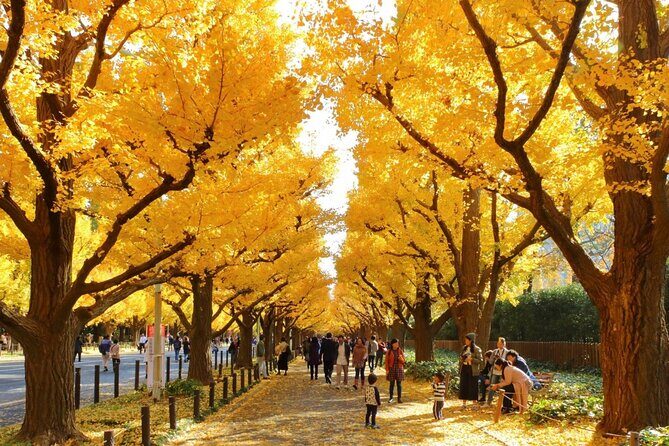 Tokyo Self-Guided Audio Tour - Exploring Tokyo on Your Terms: The Itinerary Breakdown