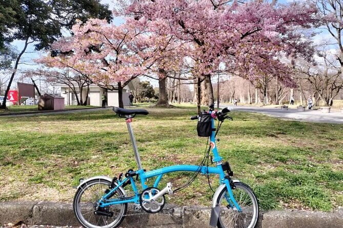 Tokyo Shibamata Retro Bike Tour with Lunch & Coffee - An In-Depth Look at the Shibamata Retro Bike Tour