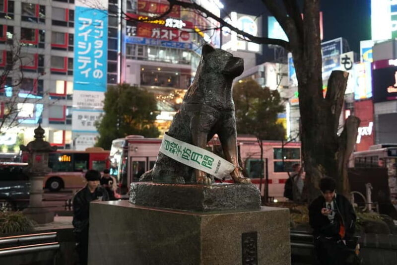 Tokyo: Shibuya Food Tour, Neon Lights & Local Flavors - Who Is This Tour For?