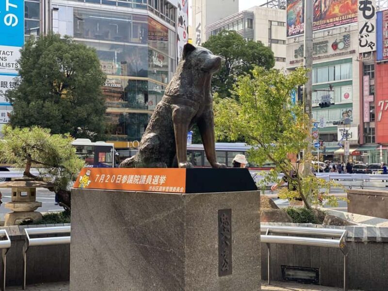 Tokyo: Shibuya Tour with a Local Guide in Spanish and Hidden Gems - A Closer Look: What the Tour Entails