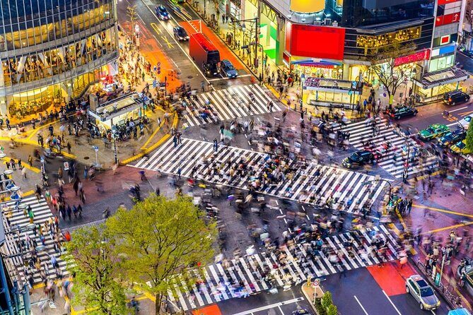 Tokyo Shibuya Walking Tour With A Local Guide - Key Points