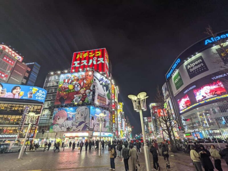 Tokyo Shinjuku Customized Tour: See and Walk Around Shinjuku - Real Traveler Insights
