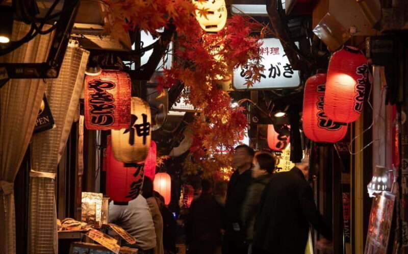 Tokyo: Shinjuku Food Tour with a Downtown Gourmet Hunter - Exploring Shinjuku’s Food Alleyways